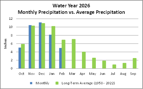 Chart displaying monthly precipitation versus average precipitation
